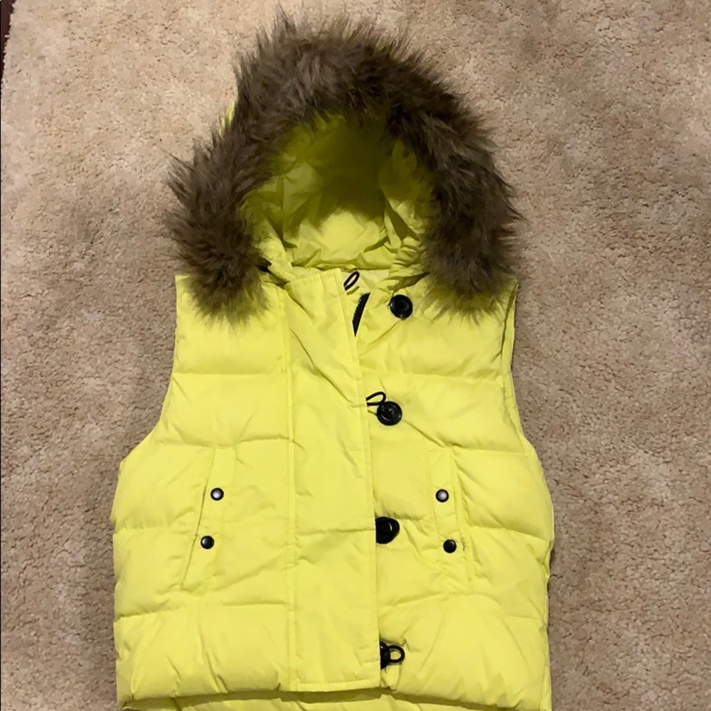 Vest